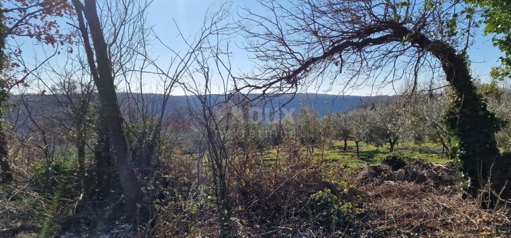 Istria, Labin, Pićan - Complete seclusion and a beautiful view!! Building land 750 m2 and agricultur