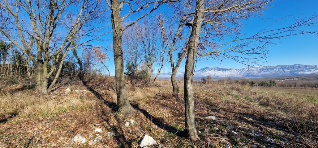 Istrien, Labin, Pićan – Völlige Abgeschiedenheit und eine wunderschöne Aussicht!! Bauland 750 m2 und