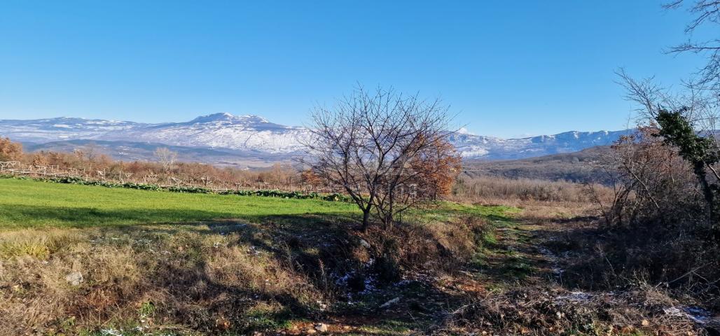 Istrien, Labin, Pićan – Völlige Abgeschiedenheit und eine wunderschöne Aussicht!! Bauland 750 m2 und