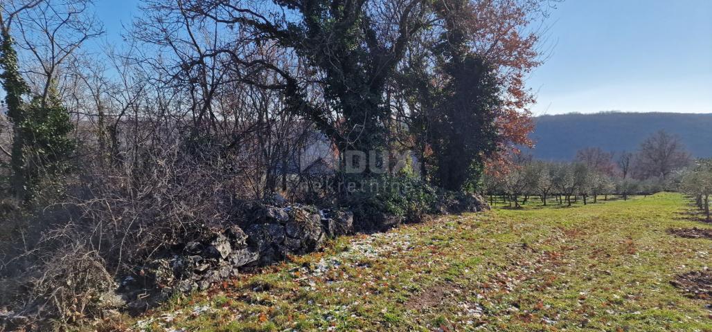 Istria, Labin, Pićan - Complete seclusion and a beautiful view!! Building land 750 m2 and agricultur