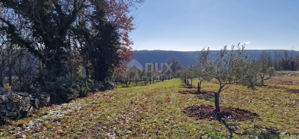 Istria, Labin, Pićan - Complete seclusion and a beautiful view!! Building land 750 m2 and agricultur