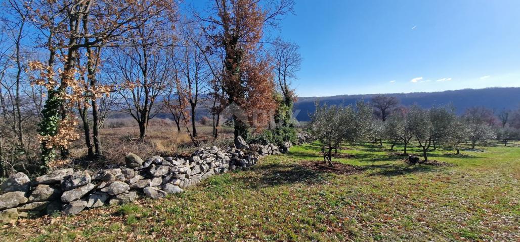 Istria, Labin, Pićan - Complete seclusion and a beautiful view!! Building land 750 m2 and agricultur