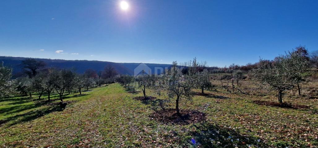 Istrien, Labin, Pićan – Völlige Abgeschiedenheit und eine wunderschöne Aussicht!! Bauland 750 m2 und