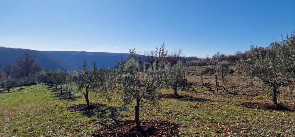 Istrien, Labin, Pićan – Völlige Abgeschiedenheit und eine wunderschöne Aussicht!! Bauland 750 m2 und