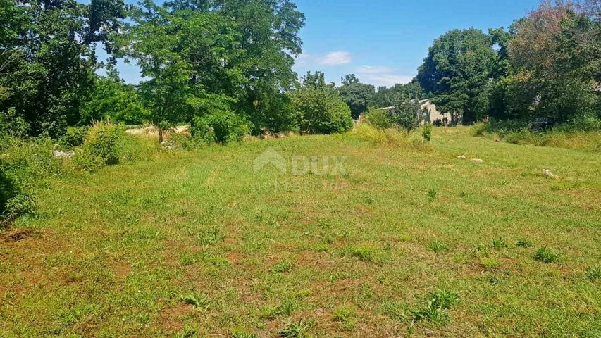 ISTRIA, ŽMINJ - Spacious land on the edge of the village