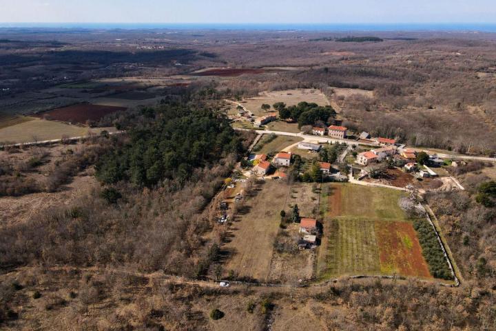 Istra, Cvitani, građevinsko zemljište s idejnim rješenjem