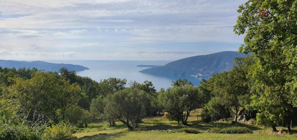 Land for sale, 2591 m2, Herceg Novi, Trebesin