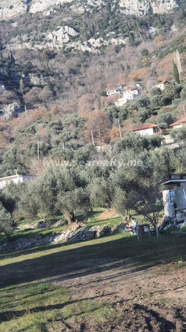 Prodaja, Kuća, 500m2 , BULJARICA I