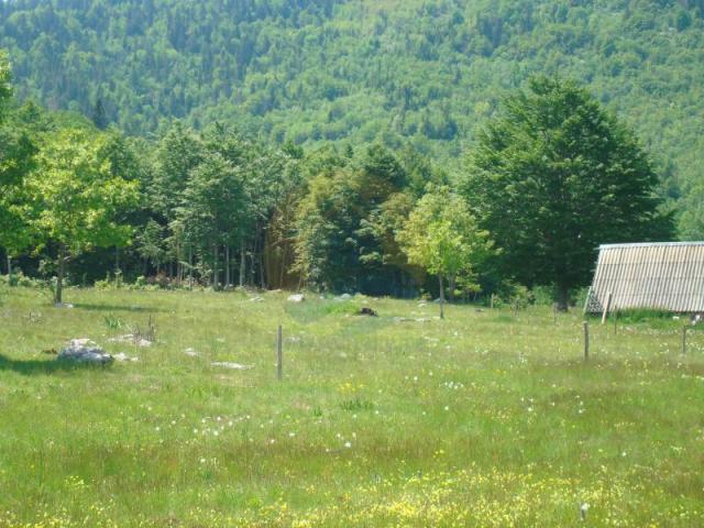 Beautiful plot in a quiet village Rudinice, close to the city of Pluzine