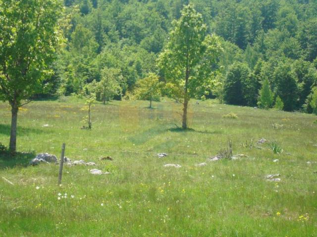 Beautiful plot in a quiet village Rudinice, close to the city of Pluzine