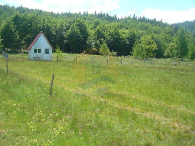 Beautiful plot in a quiet village Rudinice, close to the city of Pluzine