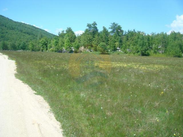 Beautiful plot in a quiet village Rudinice, close to the city of Pluzine