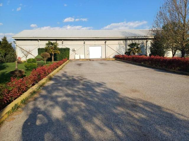 For sale: multi-purpose commercial space 500 m2, Podgorica, Tuzi