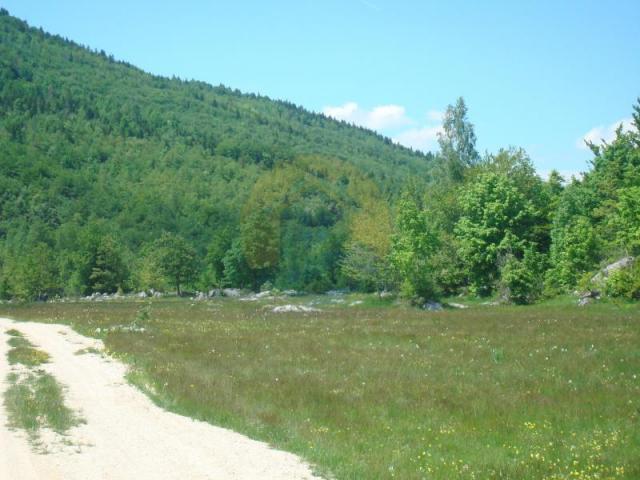 Beautiful plot in a quiet village Rudinice, close to the city of Pluzine