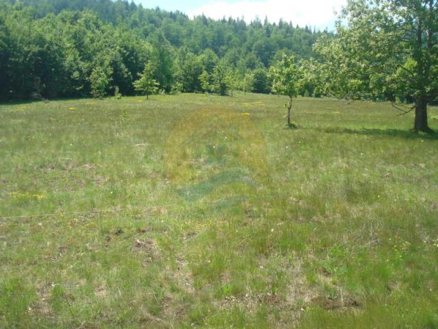 Beautiful plot in a quiet village Rudinice, close to the city of Pluzine