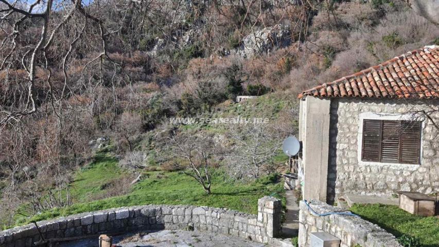 Prodaja, Kuća, 500m2 , BULJARICA I