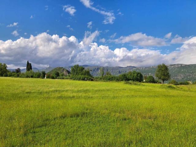 Plots for sale, 7818 m2, Danilovgrad, Spuž