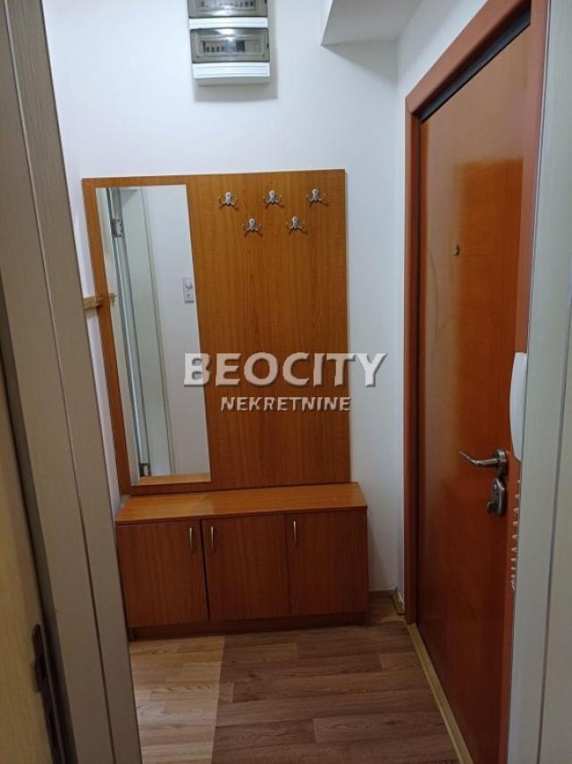 Novi Sad, Grbavica, Miše Dimitrijevića, 1. 5, 30m2, 300EUR