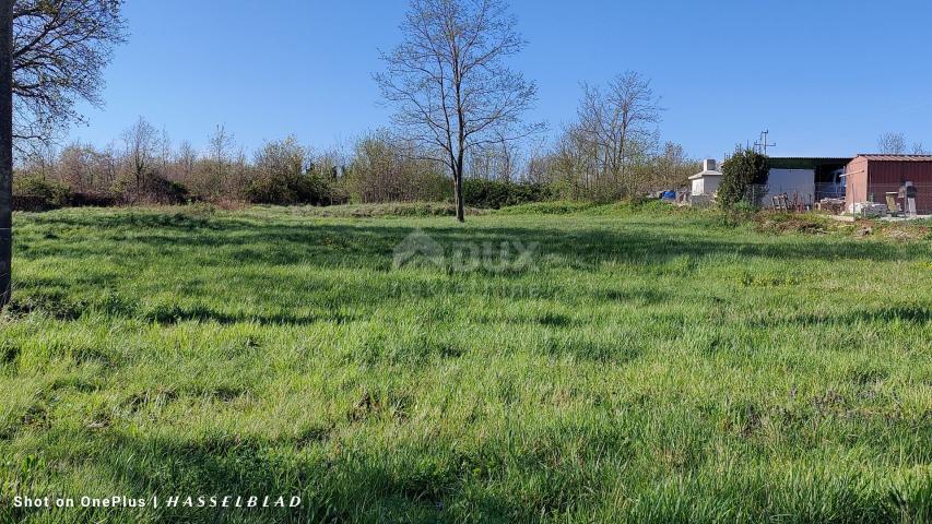 ISTRIA, VIŠNJAN - Spacious land with a sea view