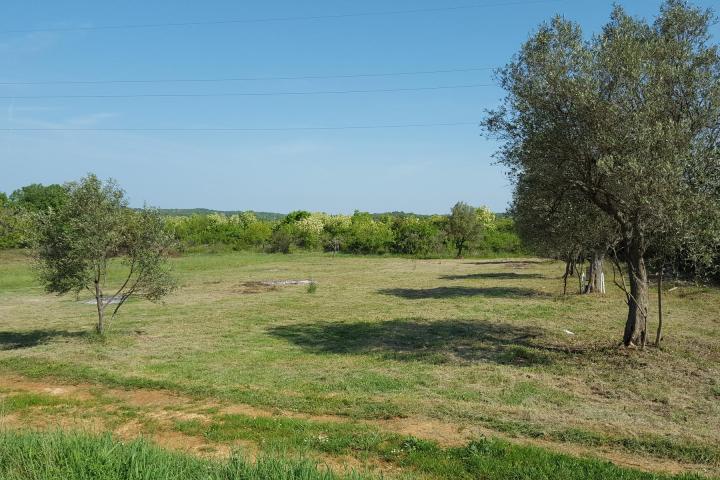 Istra, Rovinjsko selo, prostrano poljoprivredno zemljište 27672m2