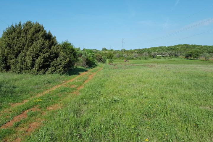 Istra, Rovinjsko selo, prostrano poljoprivredno zemljište 27672m2