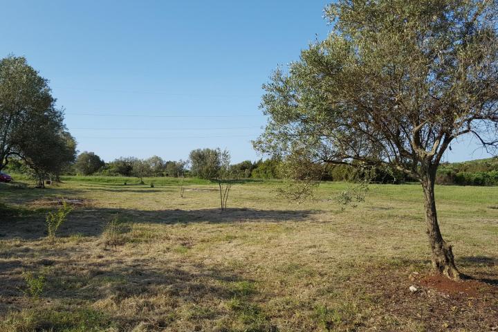 Istra, Rovinjsko selo, prostrano poljoprivredno zemljište 27672m2