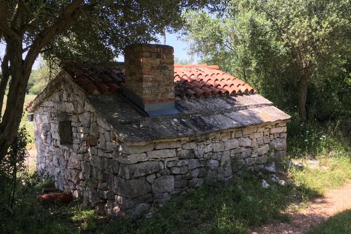 Istra, Rovinjsko selo, 6599m2 poljoprivredno zemljište  s manjim gospodarskim objektom 