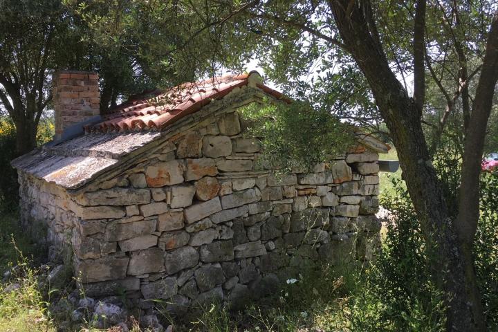 Istra, Rovinjsko selo, 6599m2 poljoprivredno zemljište  s manjim gospodarskim objektom 