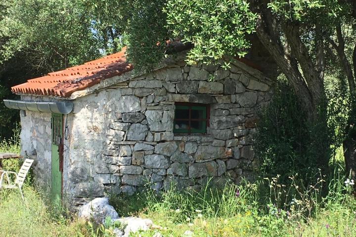 Istra, Rovinjsko selo, 6599m2 poljoprivredno zemljište  s manjim gospodarskim objektom 