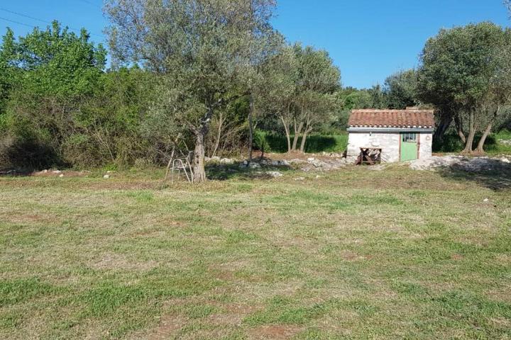 Istra, Rovinjsko selo, 6599m2 poljoprivredno zemljište  s manjim gospodarskim objektom 