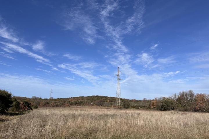 Istra, Rovinjsko selo, poljoprivredno zemljište 13856m2