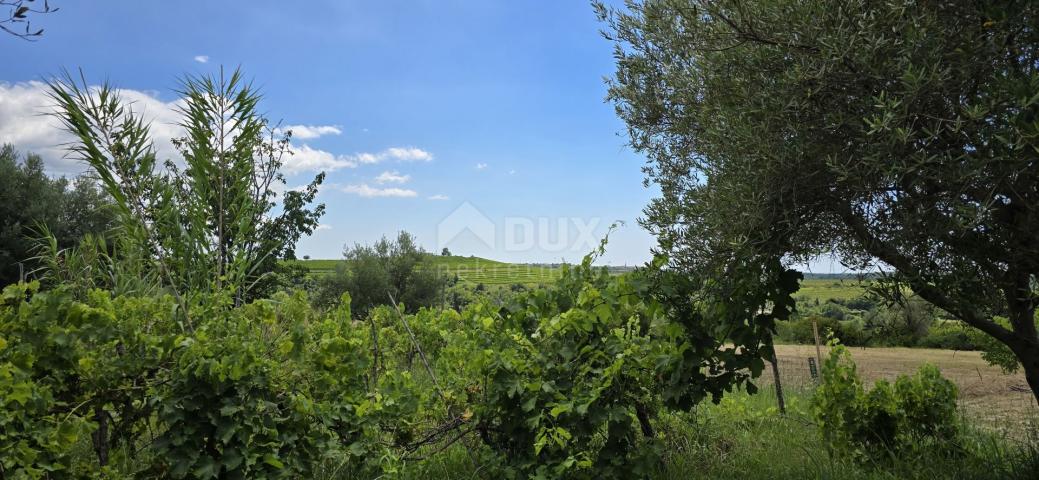 ISTRIEN, BUJE - Baugrundstück am Rande der Bauzone, Panoramablick