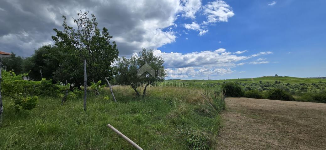 ISTRIEN, BUJE - Baugrundstück am Rande der Bauzone, Panoramablick