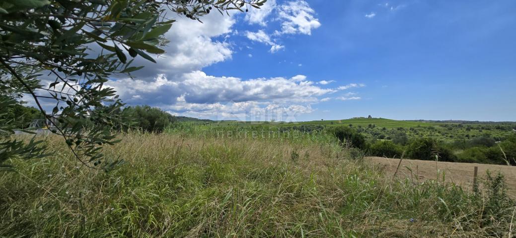 ISTRA, BUJE - Građevinsko zemljište na rubu građevinske zone, panoramski pogled