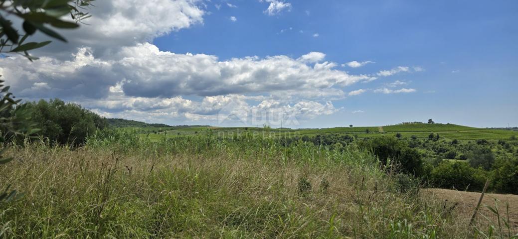 ISTRA, BUJE - Građevinsko zemljište na rubu građevinske zone, panoramski pogled