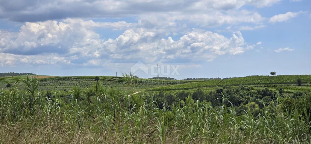 ISTRIEN, BUJE - Baugrundstück am Rande der Bauzone, Panoramablick