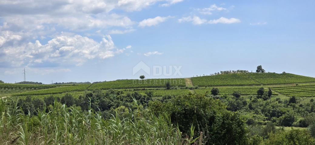 ISTRIEN, BUJE - Baugrundstück am Rande der Bauzone, Panoramablick