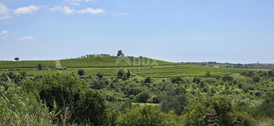 ISTRIEN, BUJE - Baugrundstück am Rande der Bauzone, Panoramablick