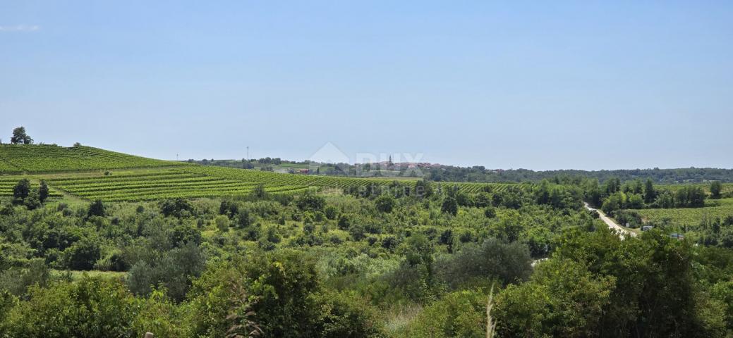 ISTRIEN, BUJE - Baugrundstück am Rande der Bauzone, Panoramablick