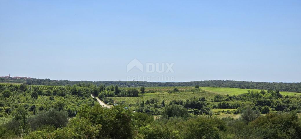 ISTRIEN, BUJE - Baugrundstück am Rande der Bauzone, Panoramablick