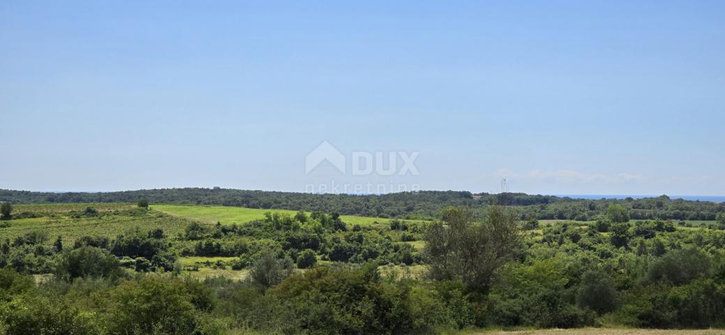 ISTRA, BUJE - Građevinsko zemljište na rubu građevinske zone, panoramski pogled