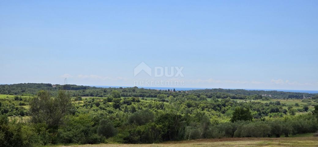 ISTRIEN, BUJE - Baugrundstück am Rande der Bauzone, Panoramablick