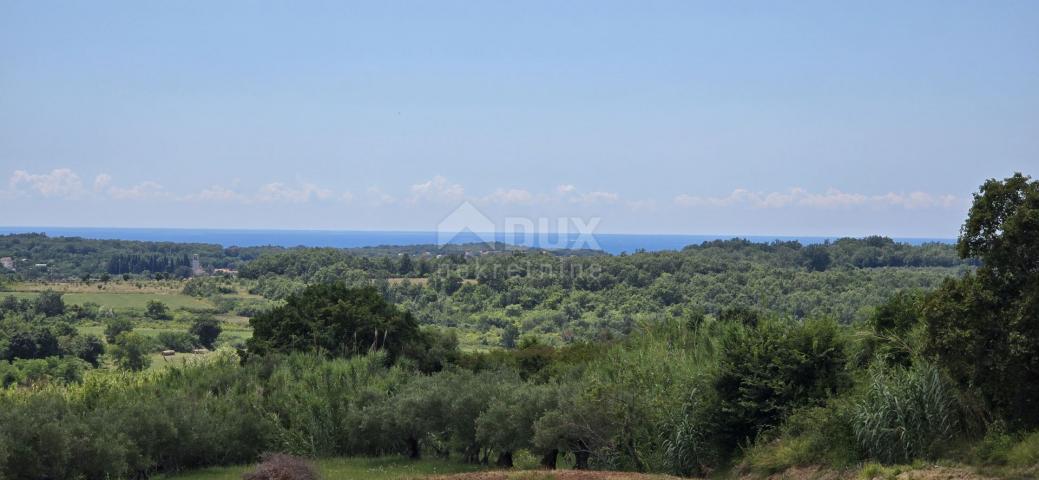 ISTRIEN, BUJE - Baugrundstück am Rande der Bauzone, Panoramablick