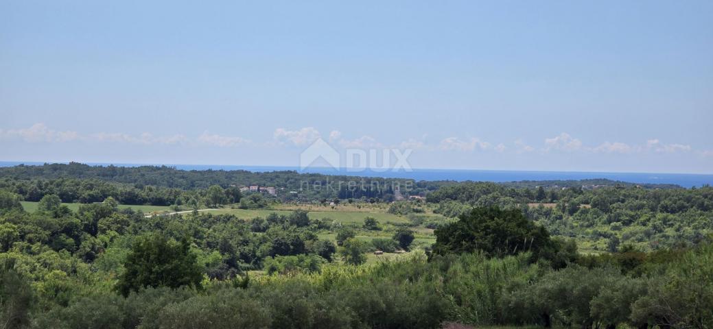 ISTRA, BUJE - Građevinsko zemljište na rubu građevinske zone, panoramski pogled