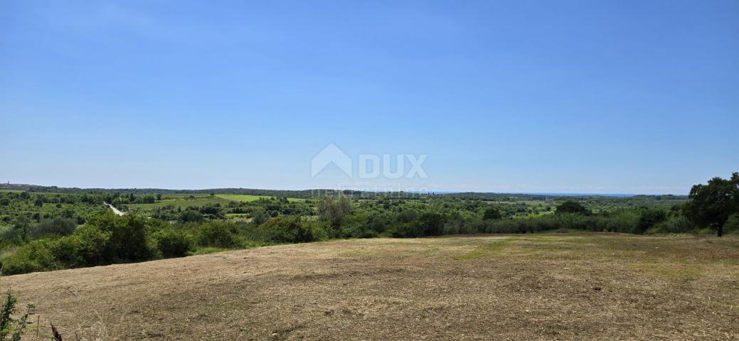 ISTRIEN, BUJE - Baugrundstück am Rande der Bauzone, Panoramablick