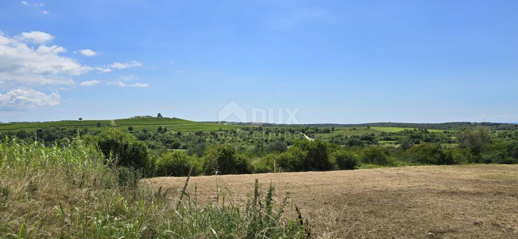 ISTRIEN, BUJE - Baugrundstück am Rande der Bauzone, Panoramablick