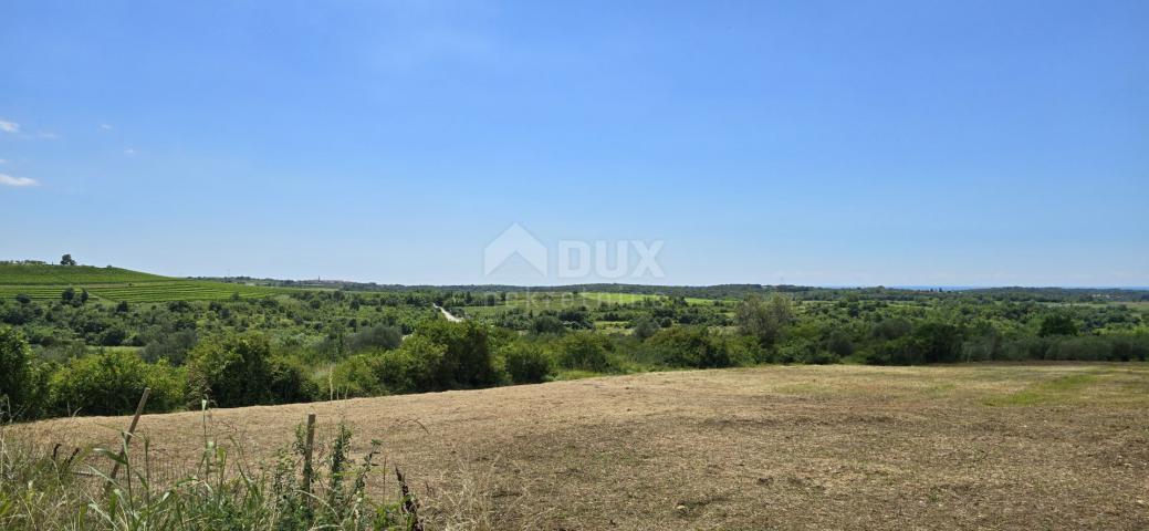 ISTRIEN, BUJE - Baugrundstück am Rande der Bauzone, Panoramablick