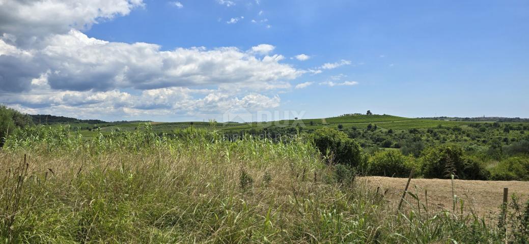 ISTRIEN, BUJE - Baugrundstück am Rande der Bauzone, Panoramablick