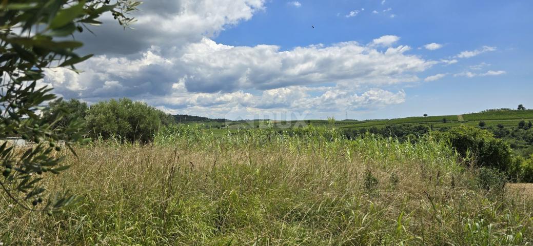 ISTRA, BUJE - Građevinsko zemljište na rubu građevinske zone, panoramski pogled