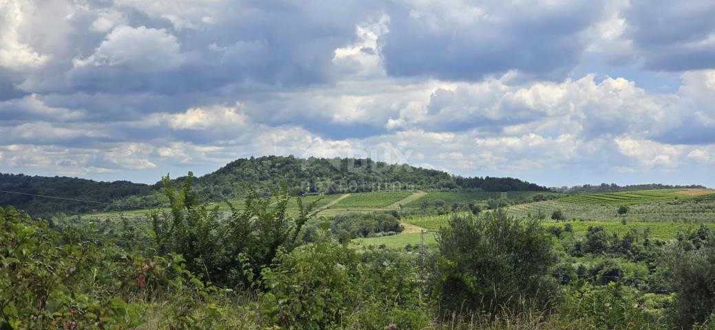 ISTRIEN, BUJE - Baugrundstück am Rande der Bauzone, Panoramablick